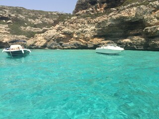 clear water and white sand on the beaches in the south