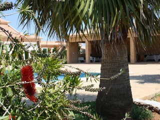 Casa per le vacanze Sa Rapita Registrazione all'aperto 5