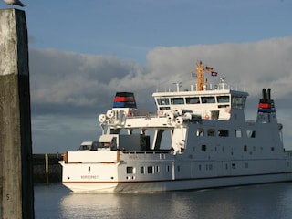 Ferienwohnung Norderney Außenaufnahme 8