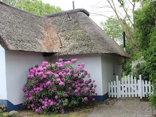 Hauszugang