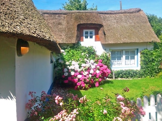 Blick auf Wohnzimmer Hausteil West