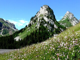 Holiday apartment Isenthal Environment 25