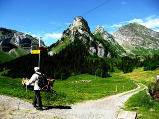 Holiday apartment Isenthal Environment 30