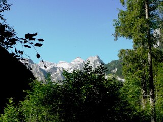 Holiday apartment Isenthal Environment 29