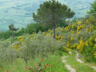 Appartamento Campobasso Ambiente 22