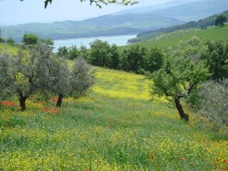 Appartamento Campobasso Ambiente 25