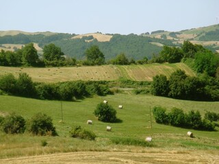 Appartamento Campobasso Ambiente 32