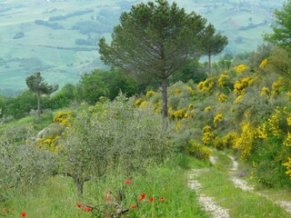 Apartment Campobasso Environment 20