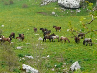 Apartamento Campobasso Entorno 25