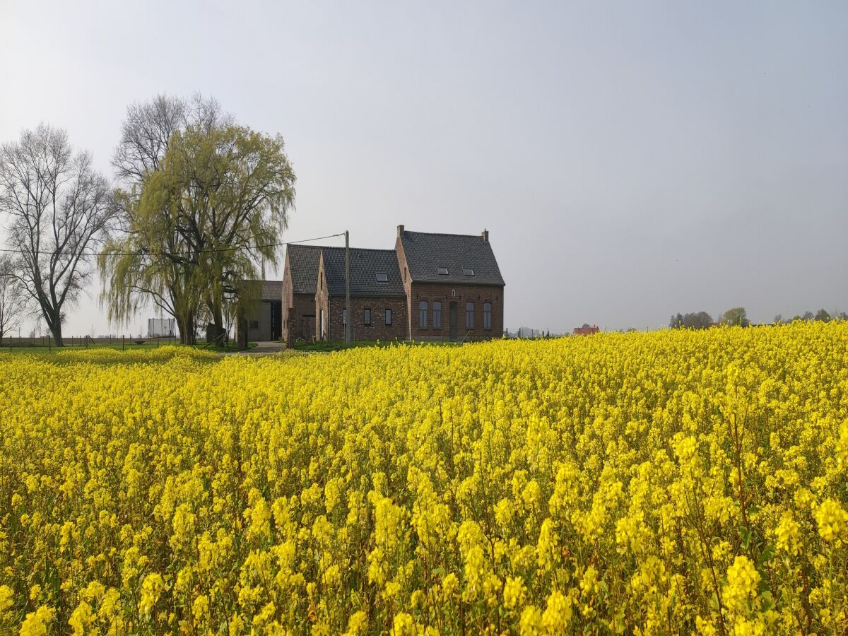 Landhaus Poperinge Außenaufnahme 10