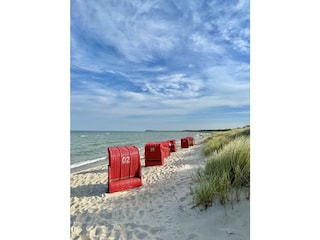 Ostseestrand 2,5km entfernt