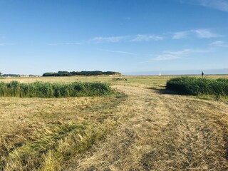 Weg zum Bodden
