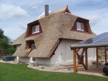 Ferienhaus Seestern