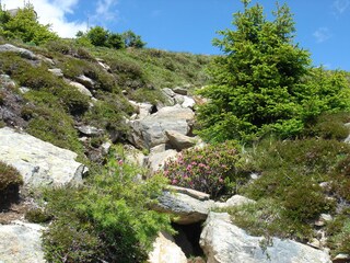 Appartamento Fiss Ambiente 22