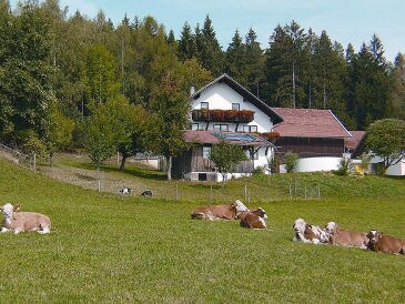 Bauernhof Ferienhof-Rosenlehner