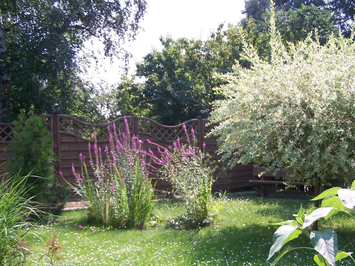 Teil unseres Garten mit Grillecke