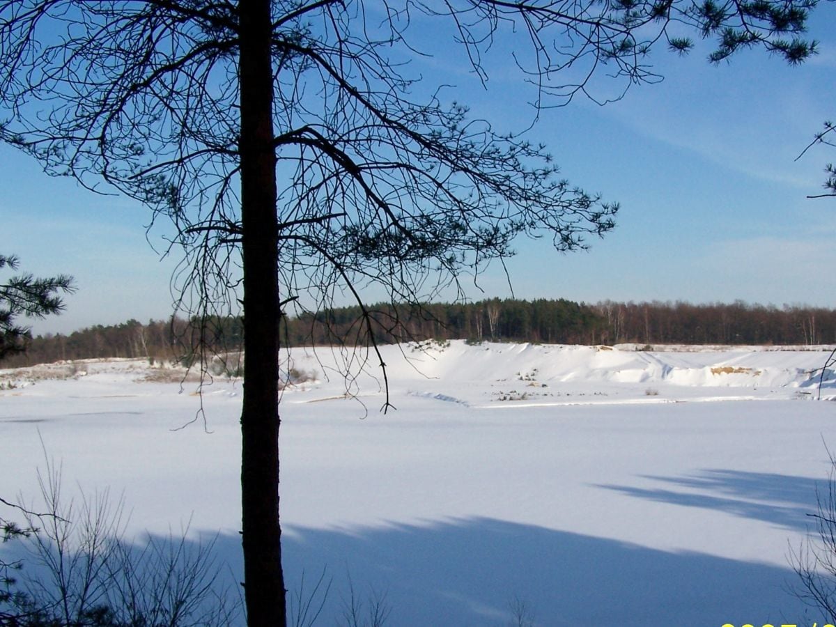 Der Baggersee im Winter