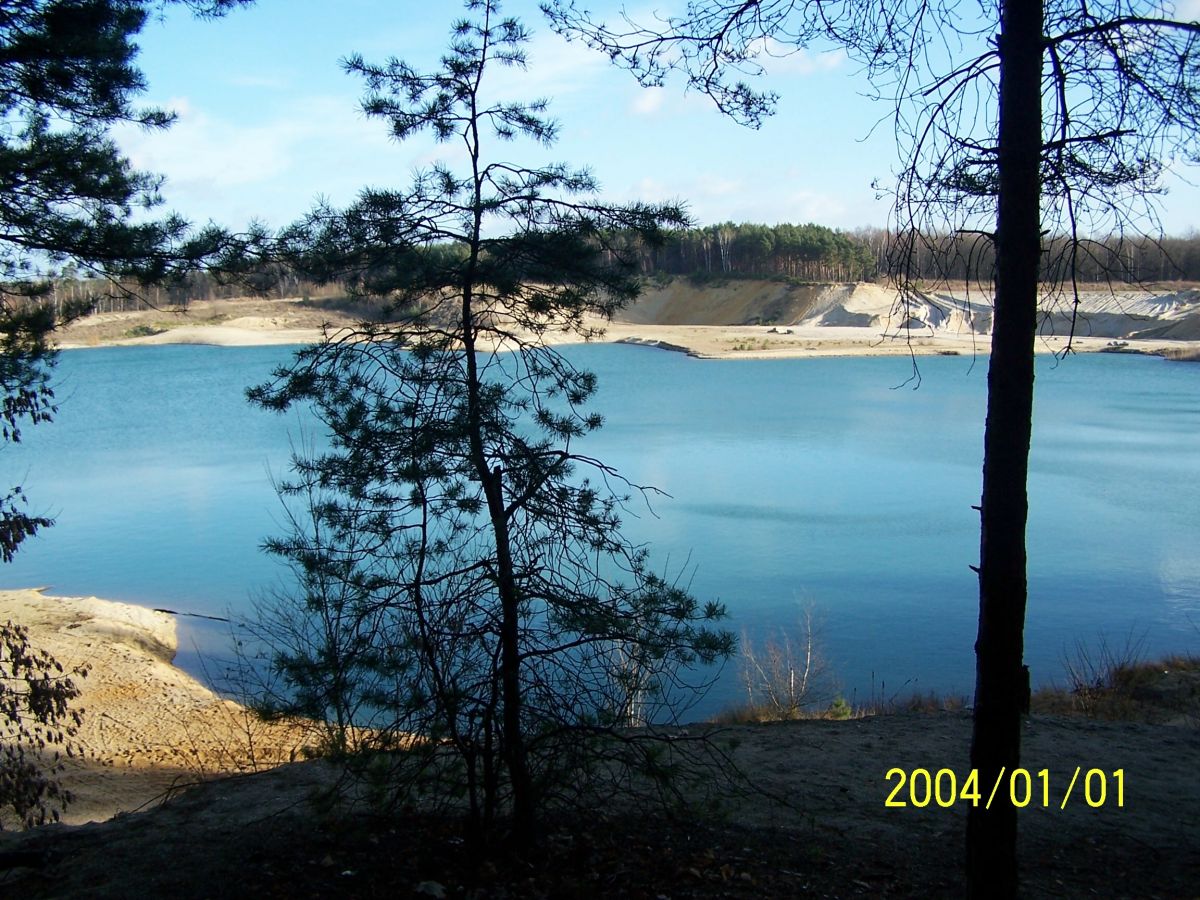 Der Baggersee im Sommer