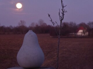 Abendstimmung mit Vollmond