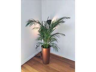 Villa Arco da Calheta Caratteristiche 19