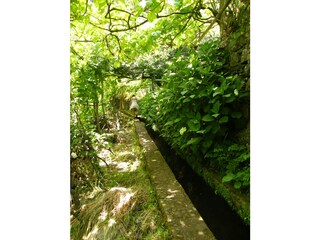 Villa Arco da Calheta Ambiente 23