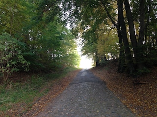 Unberührte Natur