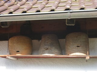 Holiday apartment Badenweiler Outdoor Recording 3