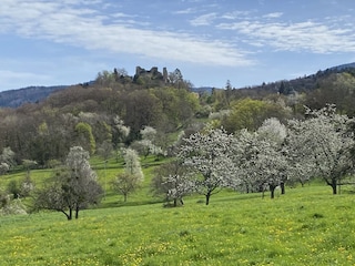 Burg in Badenweiler