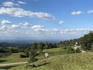 Blick über die Sehringer Wiesen
