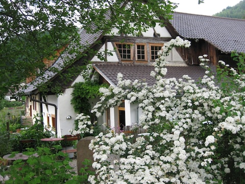 Holiday apartment Bienenkorb
