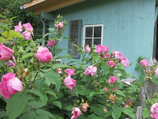 Holiday apartment Badenweiler Outdoor Recording 13