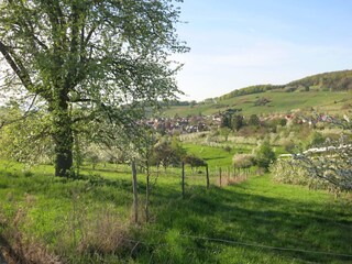 Holiday apartment Badenweiler Environment 31