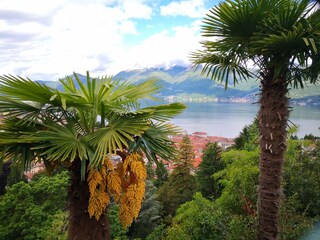 Appartamento per vacanze Luino Registrazione all'aperto 11