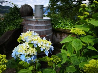 Appartamento per vacanze Luino Registrazione all'aperto 12