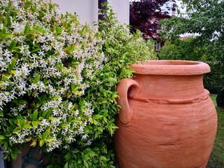 Vakantieappartement Luino Buitenaudio-opname 13