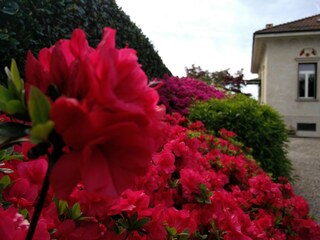 Appartamento per vacanze Luino Registrazione all'aperto 6