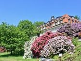 Haus König Albert vom Weinberg aus gesehen