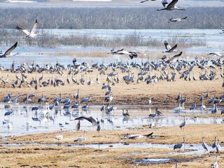 Ferienhaus Vedum  18