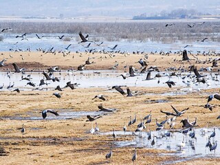 Holiday house Vedum  27