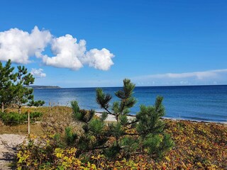 Casa per le vacanze Ebeltoft  34