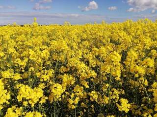 Casa per le vacanze Ebeltoft  35