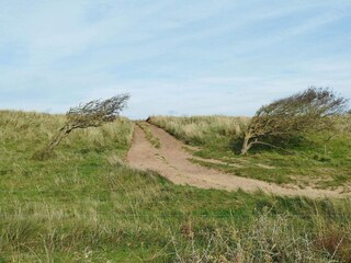 Ferienhaus Løkken  34