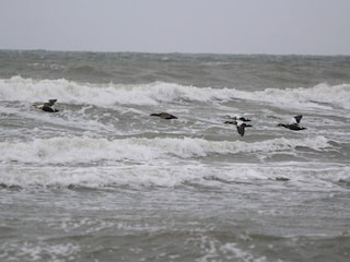 Maison de vacances Løkken  40