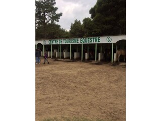 Casa per le vacanze Narbonne-Plage Ambiente 16