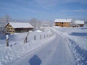 Vakantieappartement op de Heidegg - Andelsbuch - image1