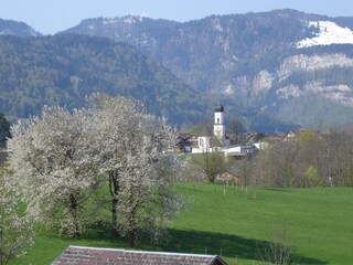 Appartamento per vacanze Andelsbuch Ambiente 13