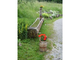 Appartamento per vacanze Andelsbuch Ambiente 11