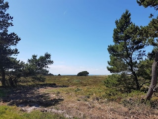 Ferienhaus Læsø  21