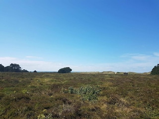 Ferienhaus Læsø  8