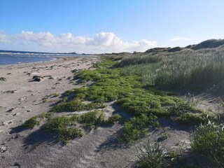 Maison de vacances Læsø  33